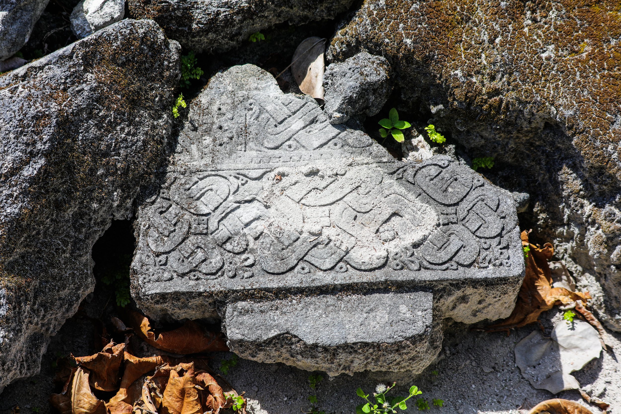 A carved stone with intricate designs among rocks, fallen leaves, and small green plants.