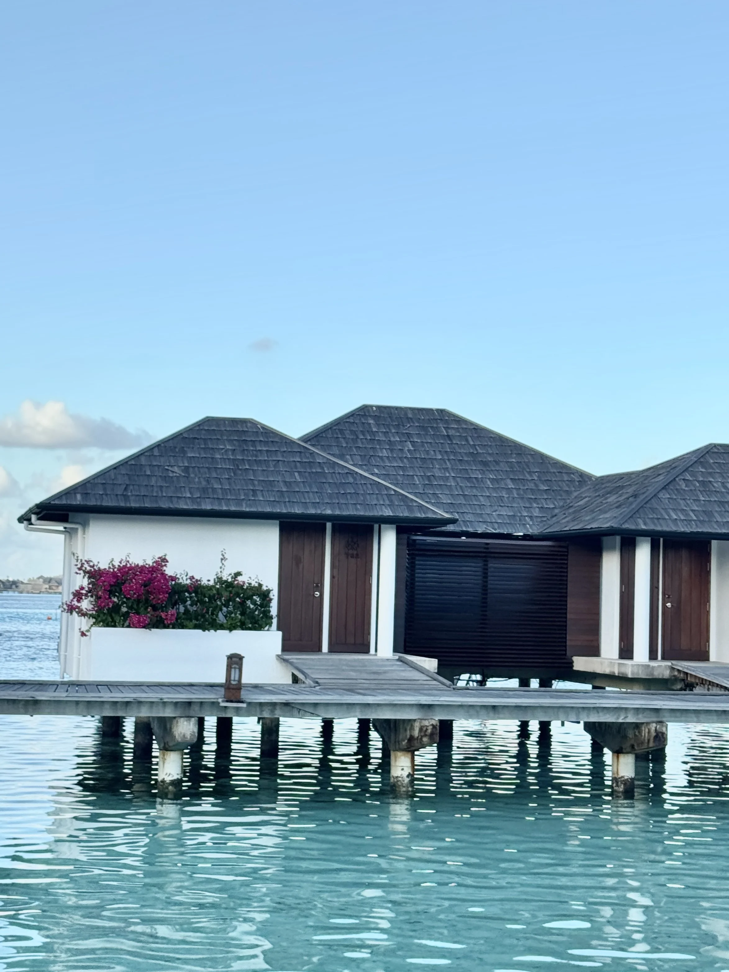 A house built on wooden stilts above water, with a sloped roof and dark wooden exterior. There is a small dock in front with a lantern, and pink flowers in a white planter, against a backdrop of a blue sky with some clouds.