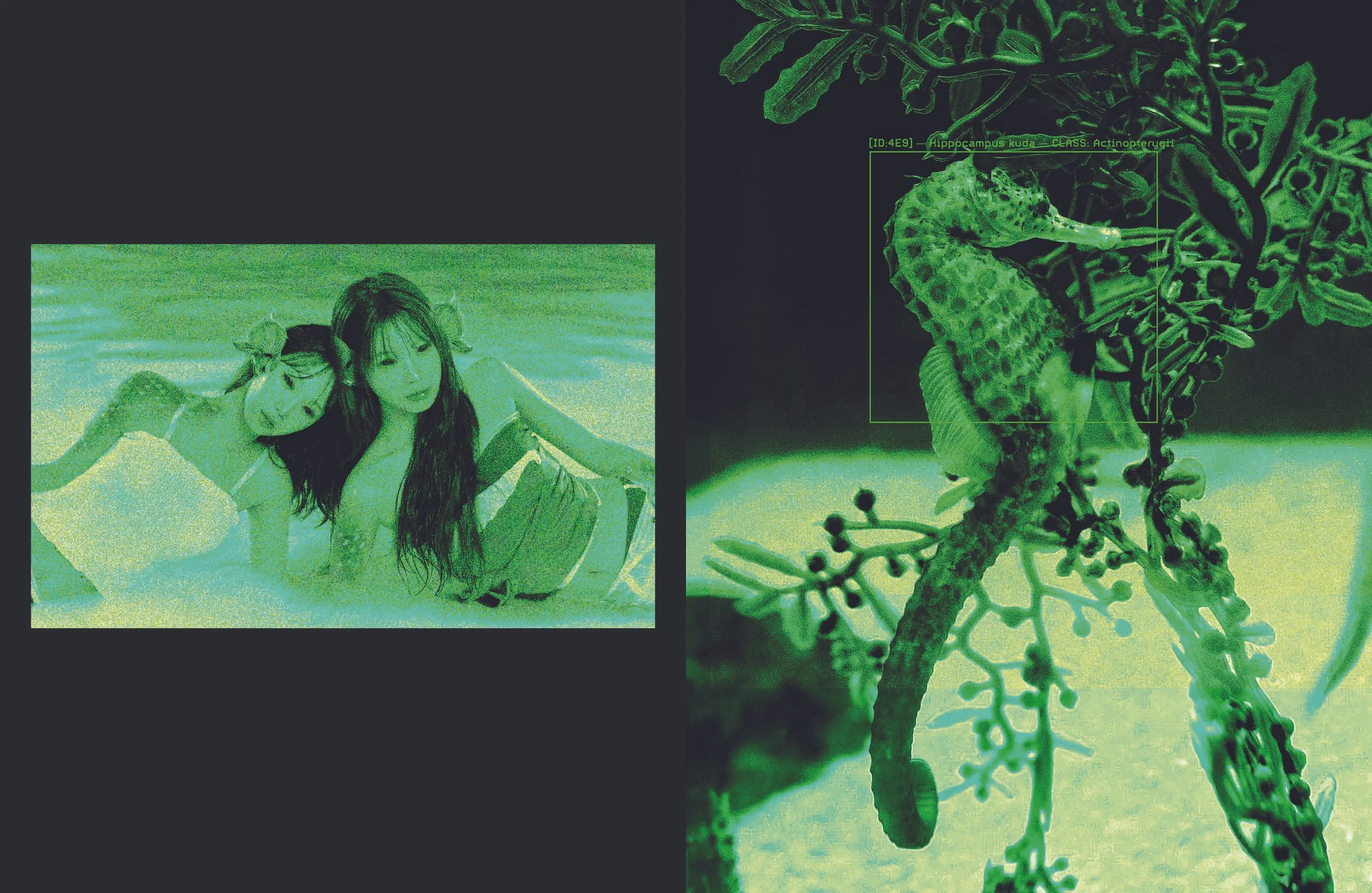 Photobook-21.jpg