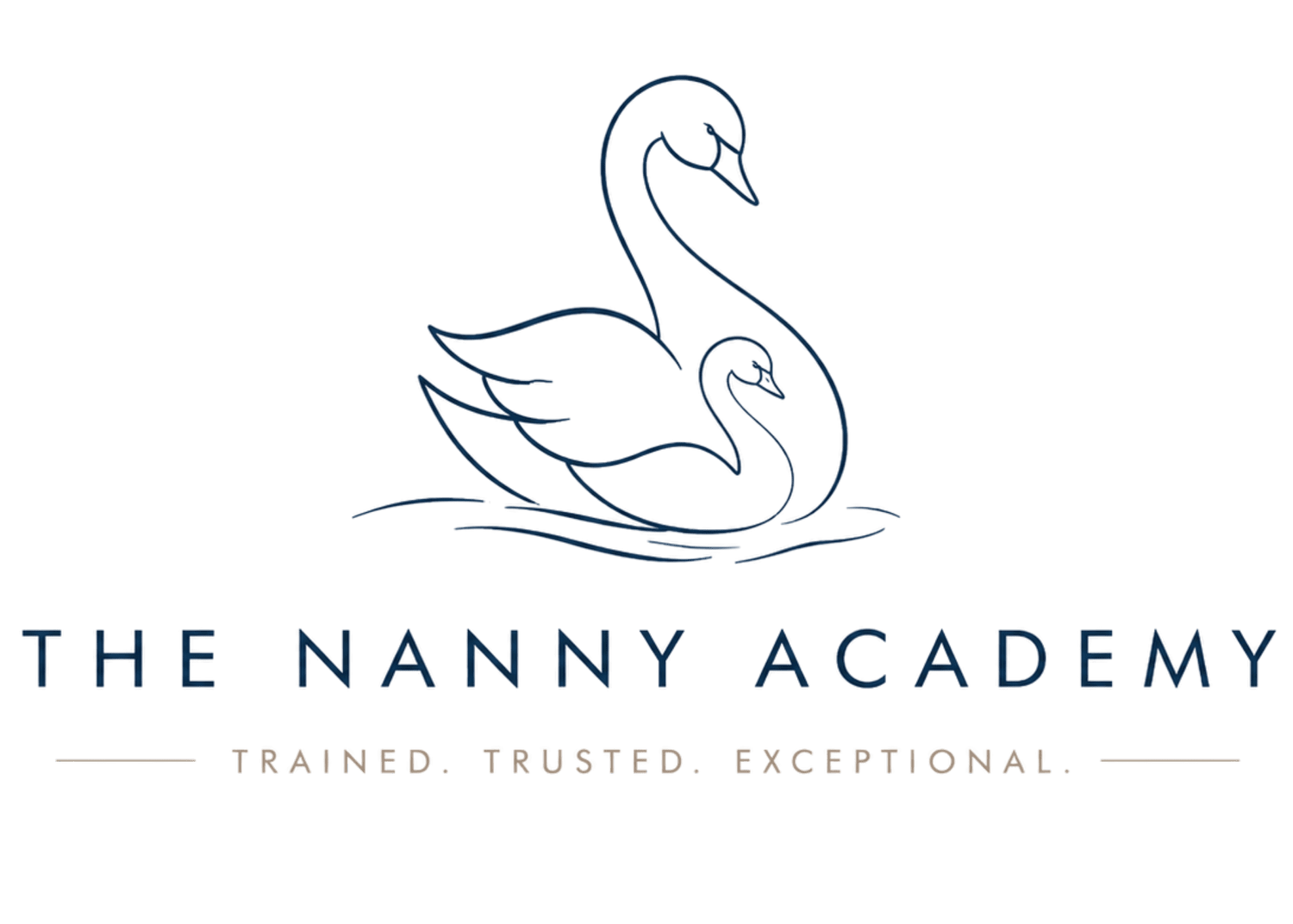 The Nanny Academy