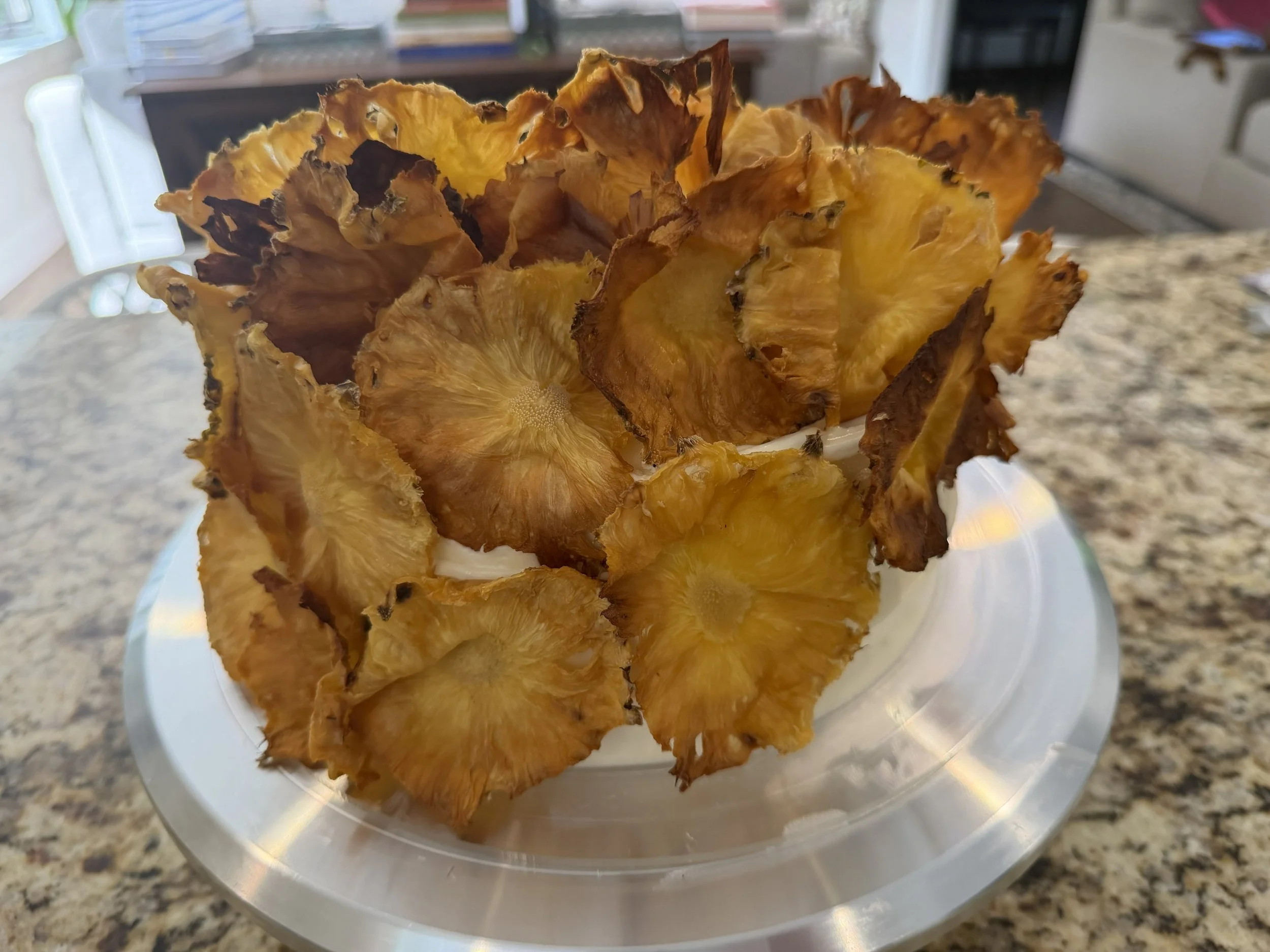 Toasted Coconut Colada.jpeg