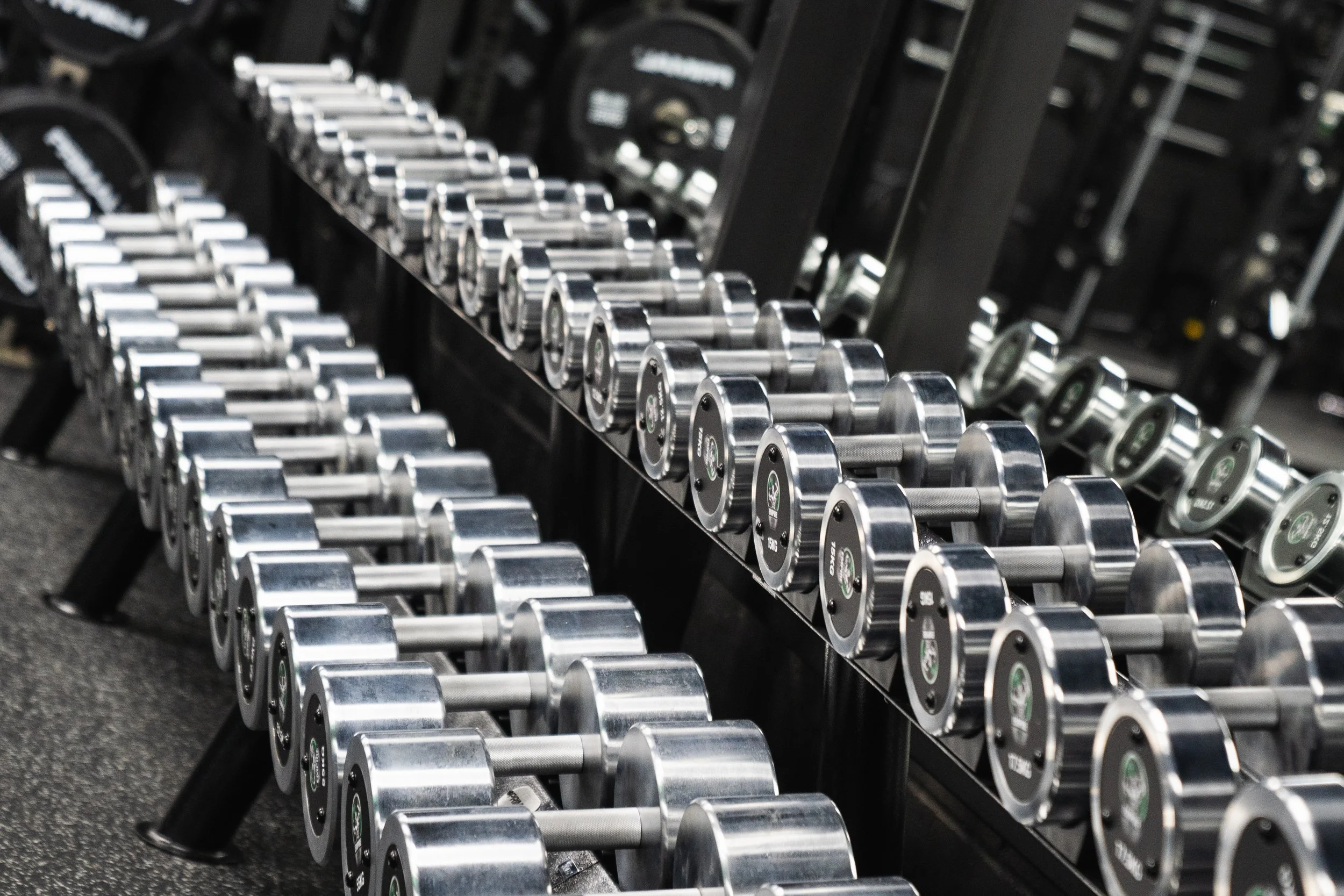 A row of silver dumbbells with black weight labels on a black rack in a gym