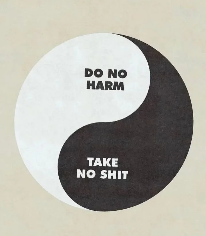 A yin-yang symbol with one side labeled 'Do no harm' and the other side labeled 'Take no shit'.