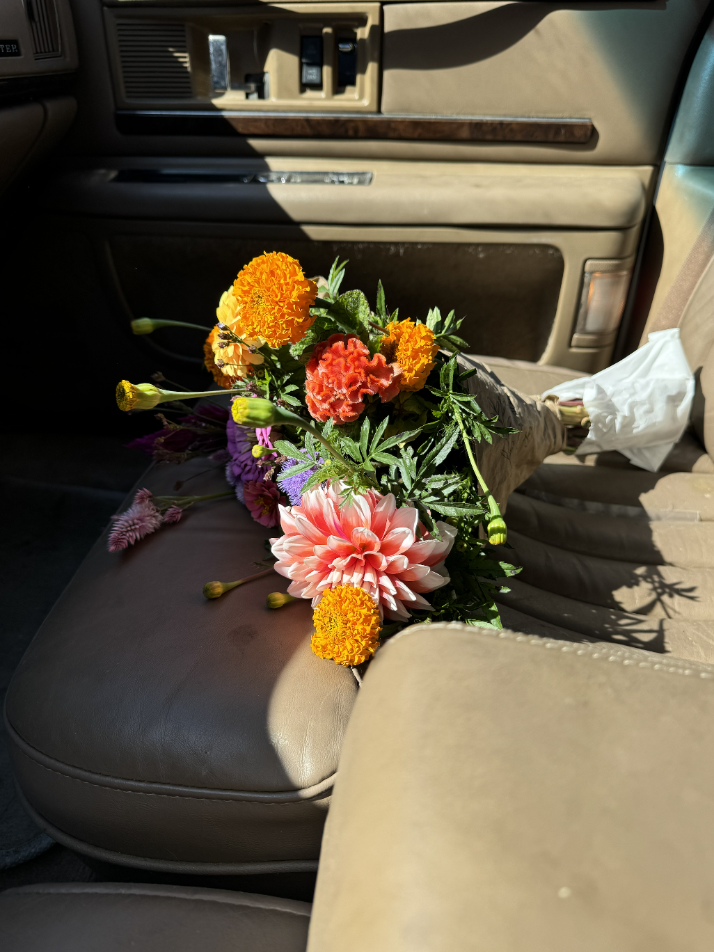 Screenshot 2026-04-29 at 11.49.14 AM.png