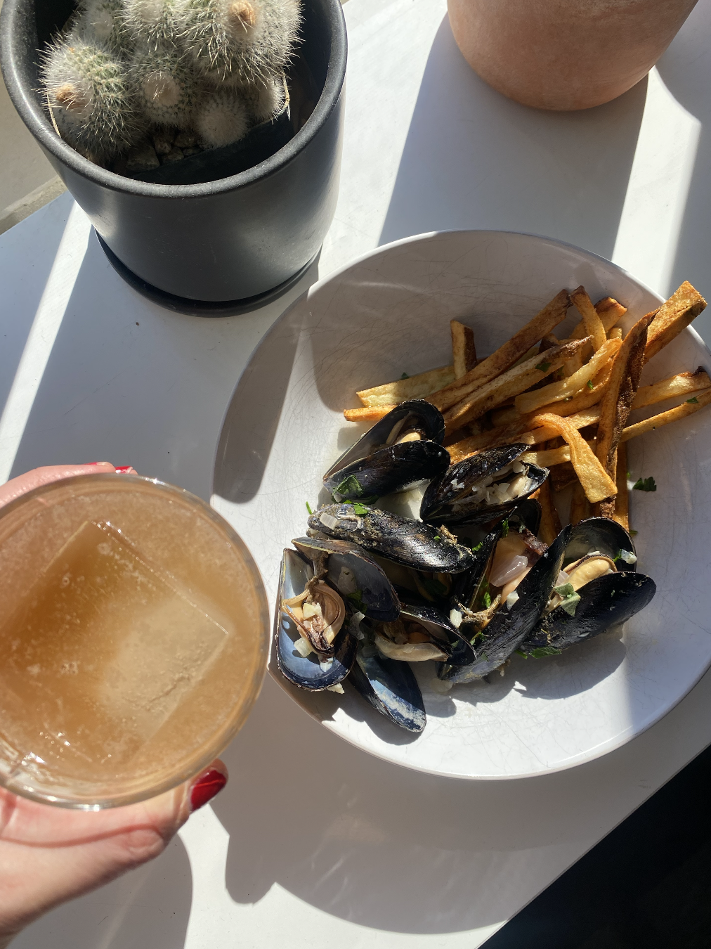 A plate of French fries and steamed mussels with garlic, served outdoors on a white table, with a glass of iced beverage and potted cactus and clay pots nearby.