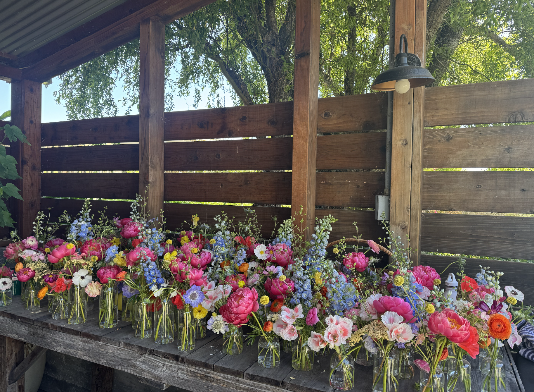 Glass jars filled with colorful flowers on a wooden table, with a wooden fence and tree in the background.