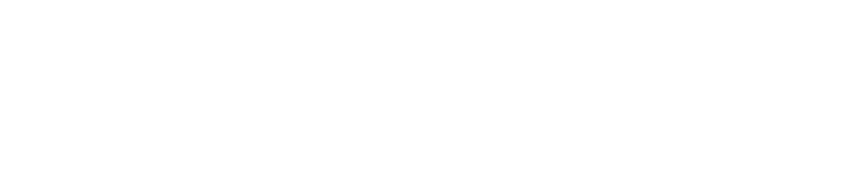 BrivScale