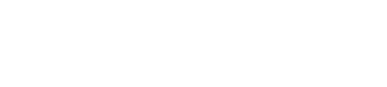 BrivScale