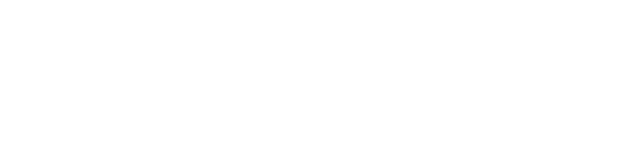 BrivScale