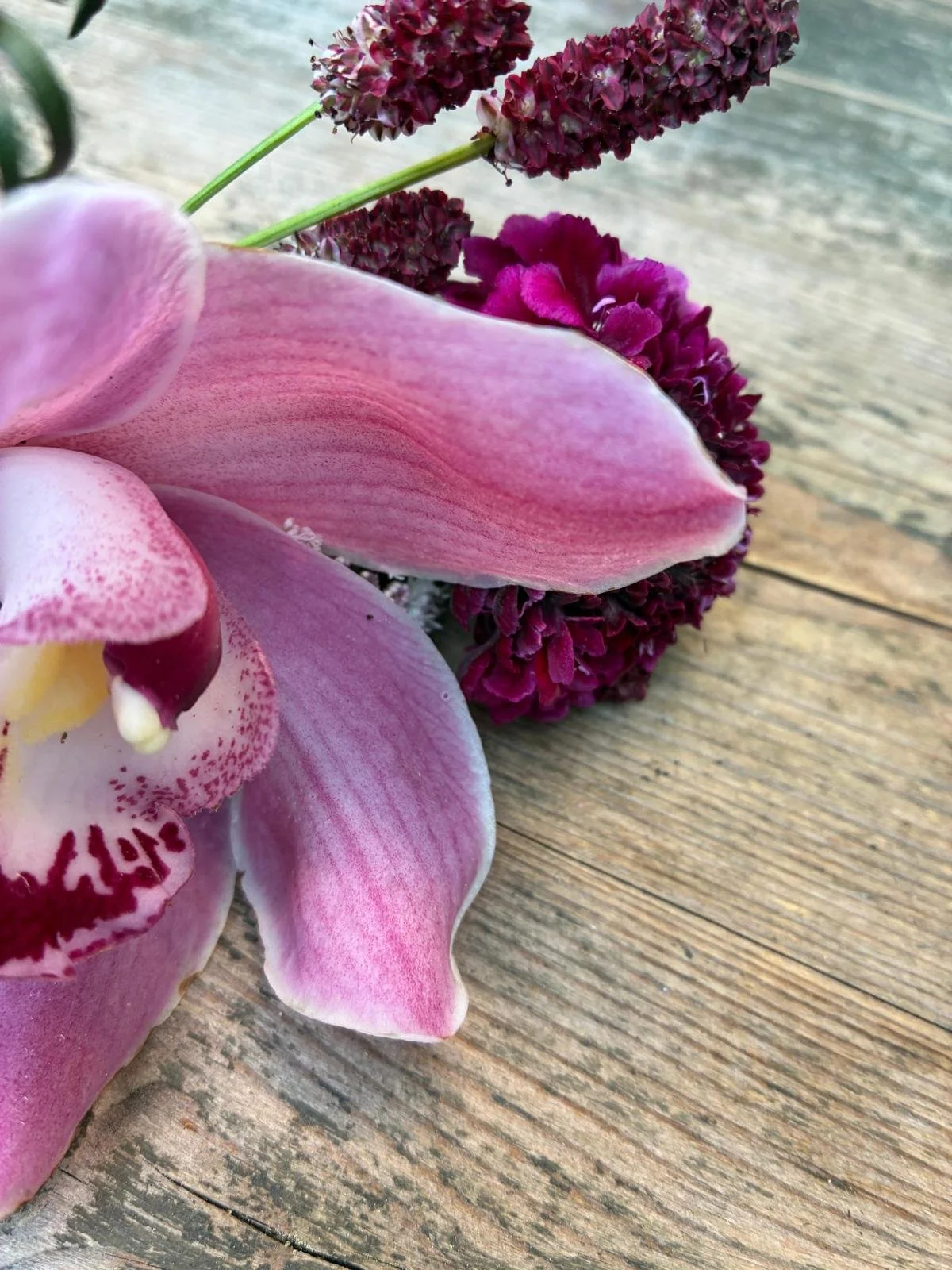 WhatsApp Image 2026-05-21 at 14.48.47 (1).jpeg