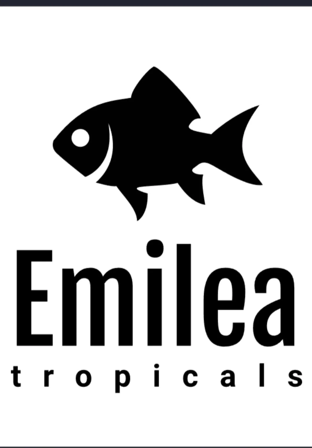 Emilea Tropicals