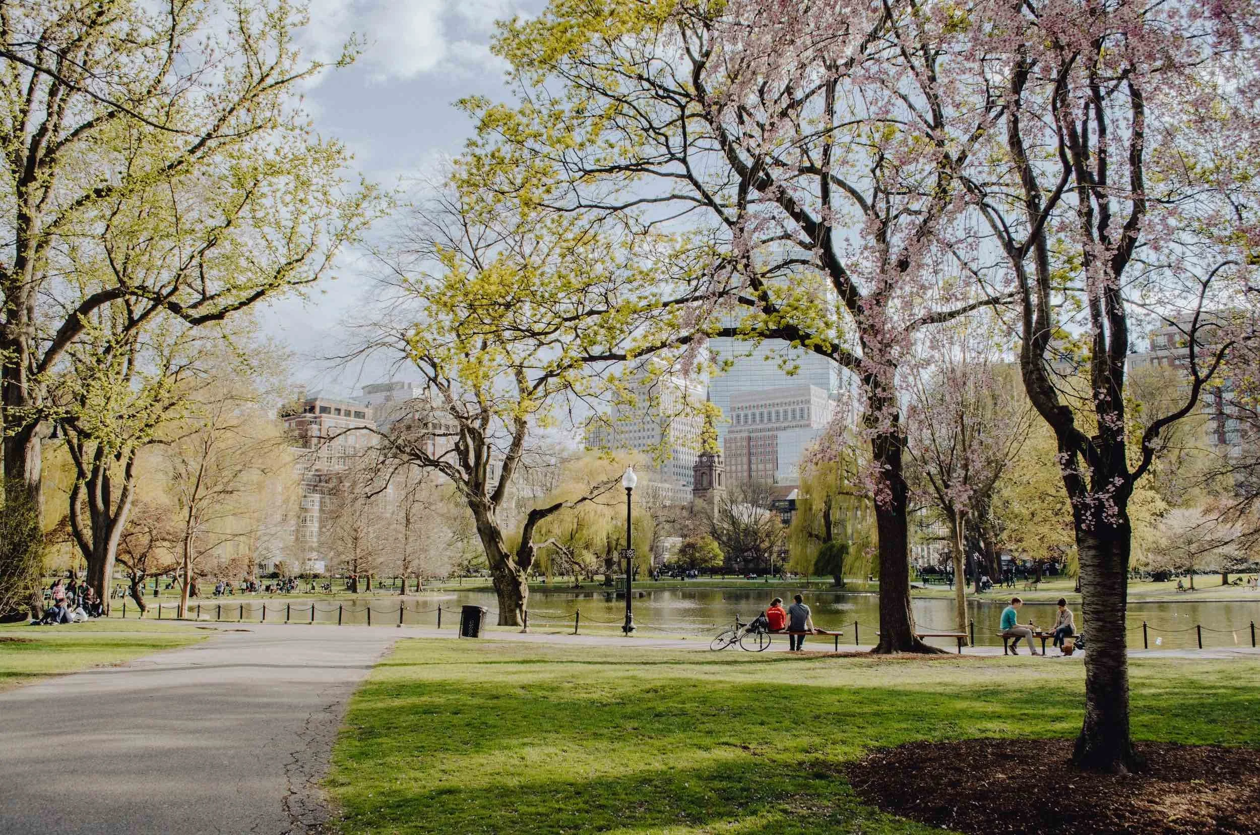 view of Boston Park