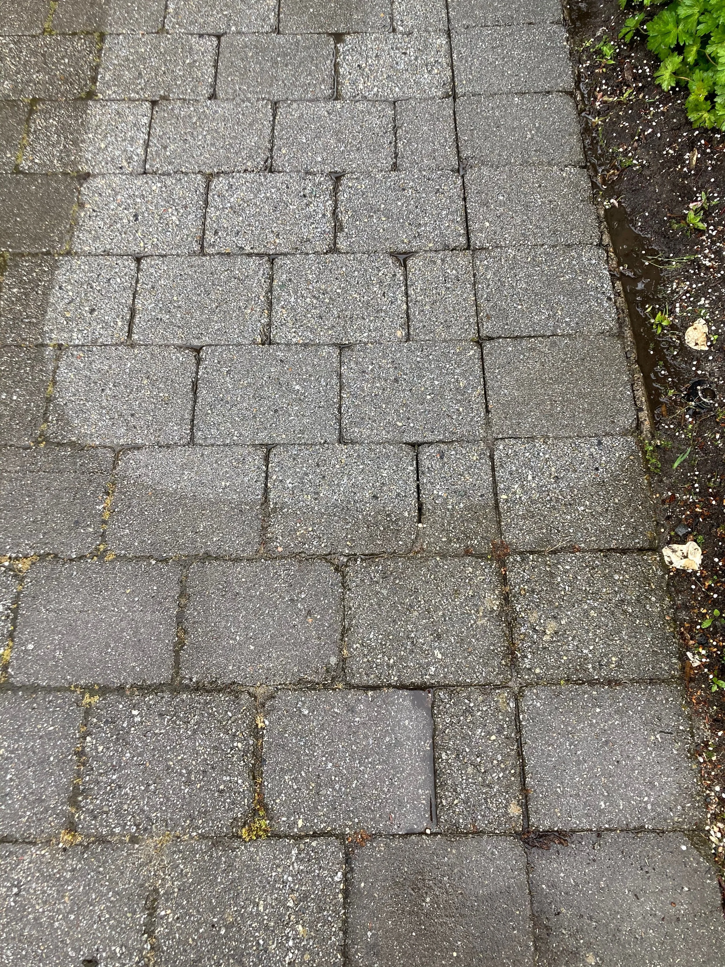 IMG_0460.jpeg