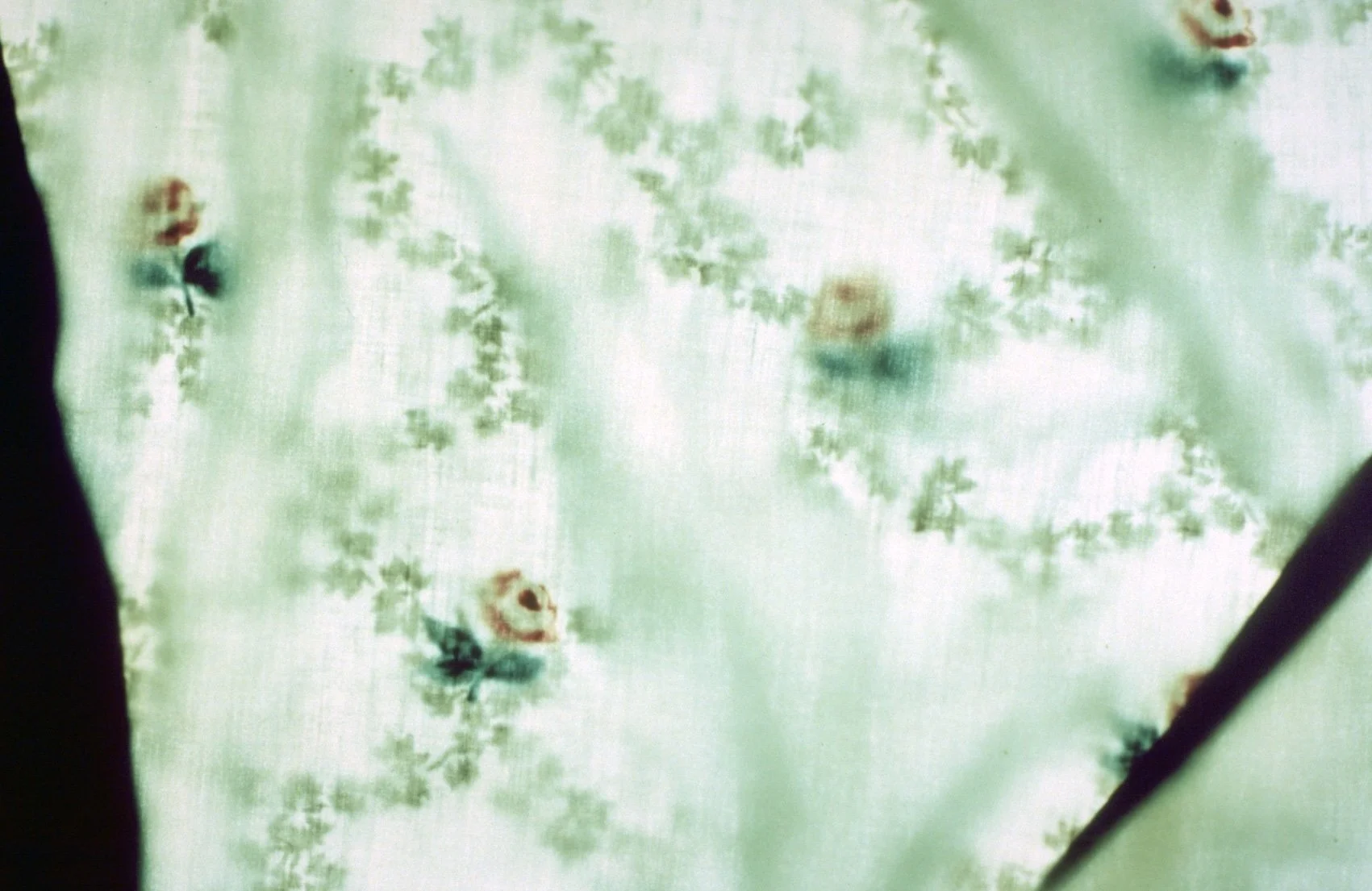 Detail Sheet