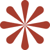 Red asterisk or star-shaped symbol with multiple rounded petals on a black background.