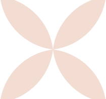 Abstract design with four brown petal-like shapes arranged in a symmetrical pattern.