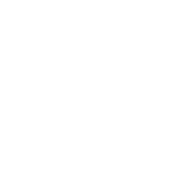 Abstract black and white pattern with eight elongated petal shapes radiating from a central point.