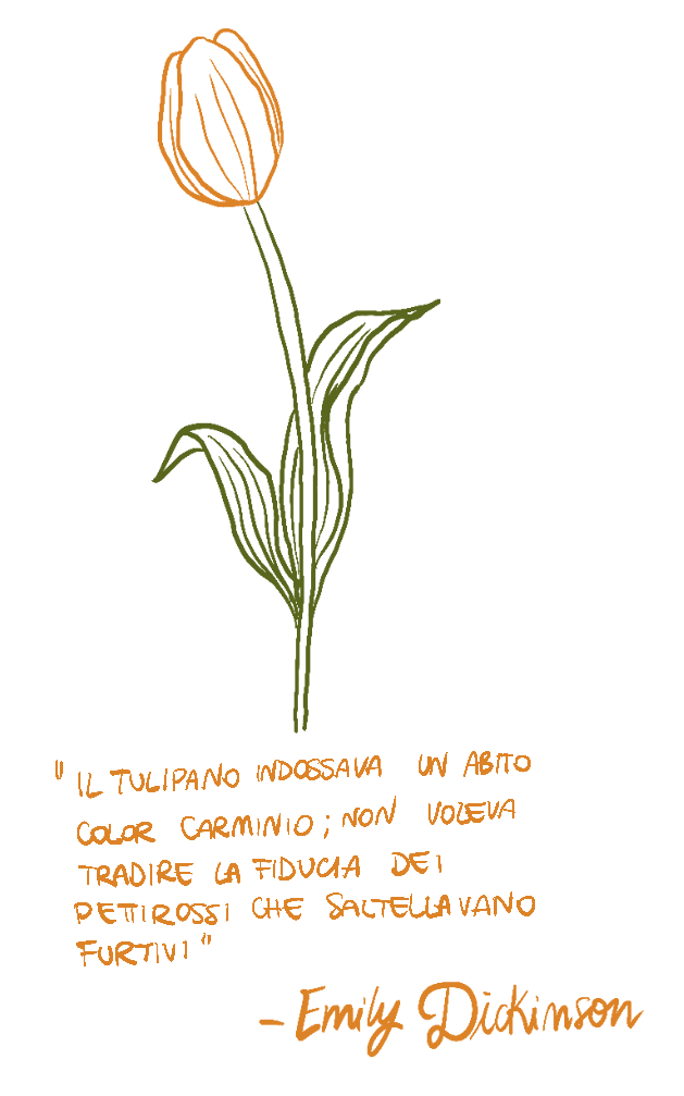A simple drawing of a tulip with an orange flower and green stem and leaves, accompanied by an Italian quote and the name Emily Dickinson written at the bottom.