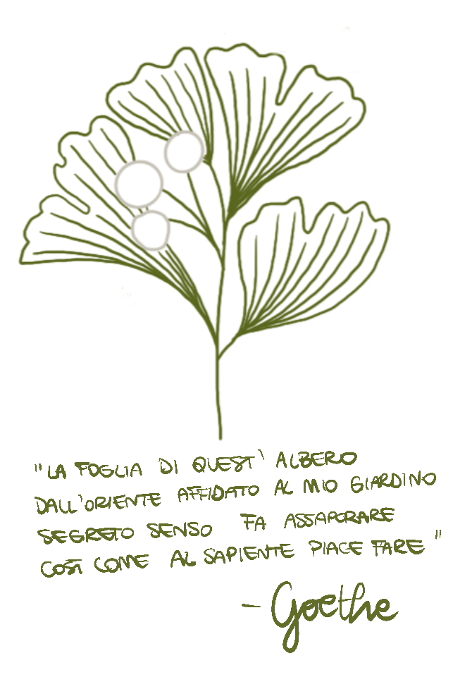 An illustration of a green fern leaf with four small circles near the stem, accompanied by a quote in Italian about a fern, attributed to Goethe.