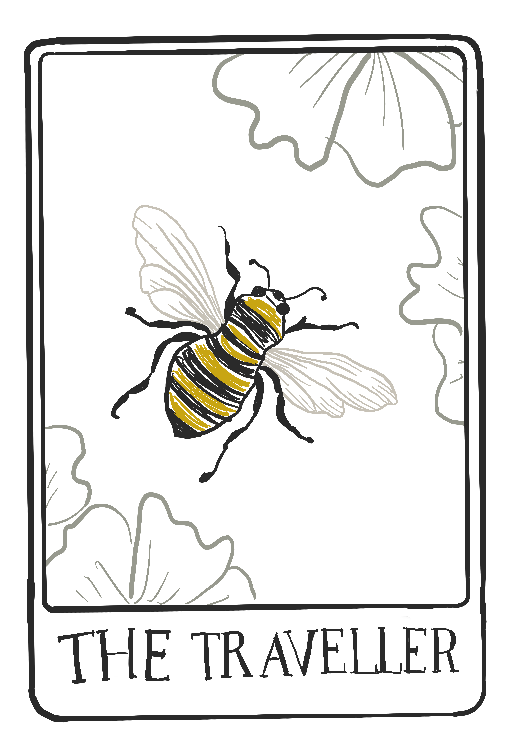 Illustration of a bee with yellow and black stripes on its body, transparent wings, surrounded by green leaves, with "The Traveller" written at the bottom.