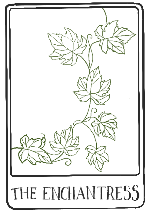 Illustration of green vine with leaves and tendrils, titled 'The Enchantress'