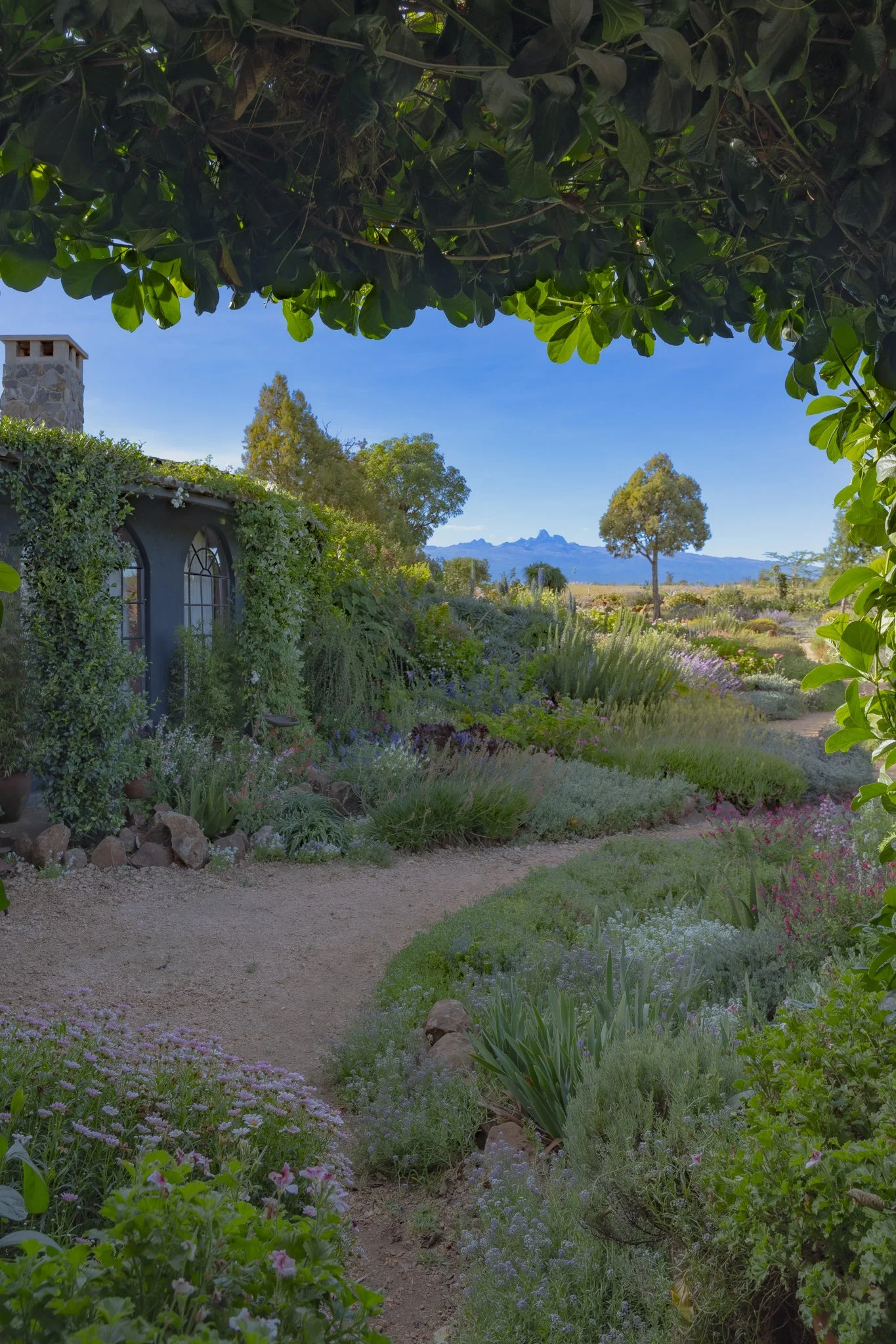 Ole Pangi Farm-6.jpg