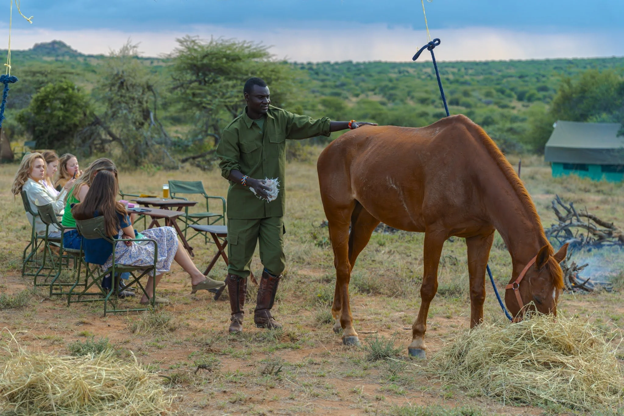 horse-safari-adventure