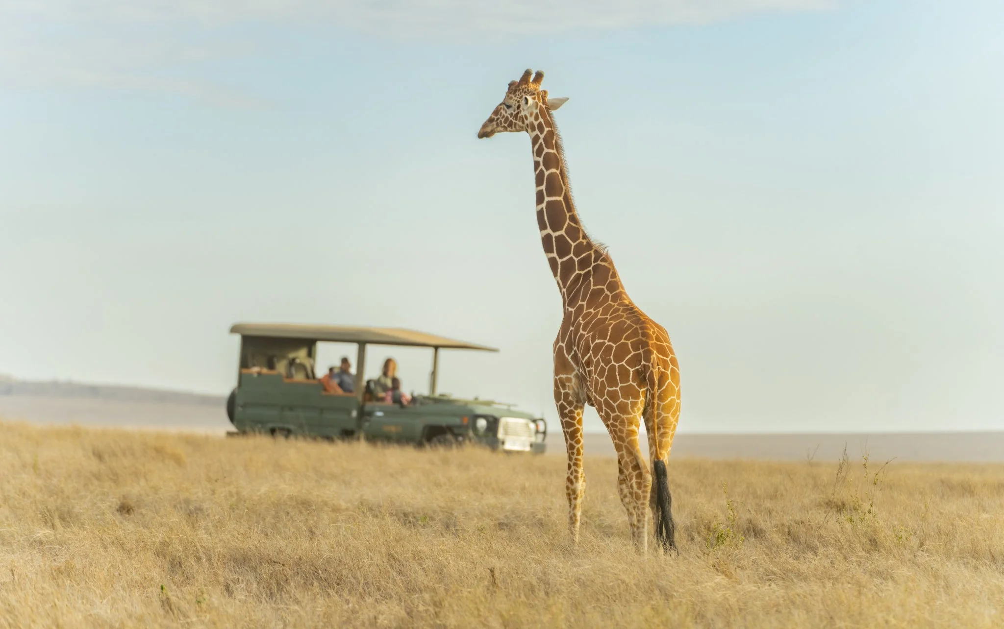 Who Is a Luxury Safari Lodge Photographer in Kenya?