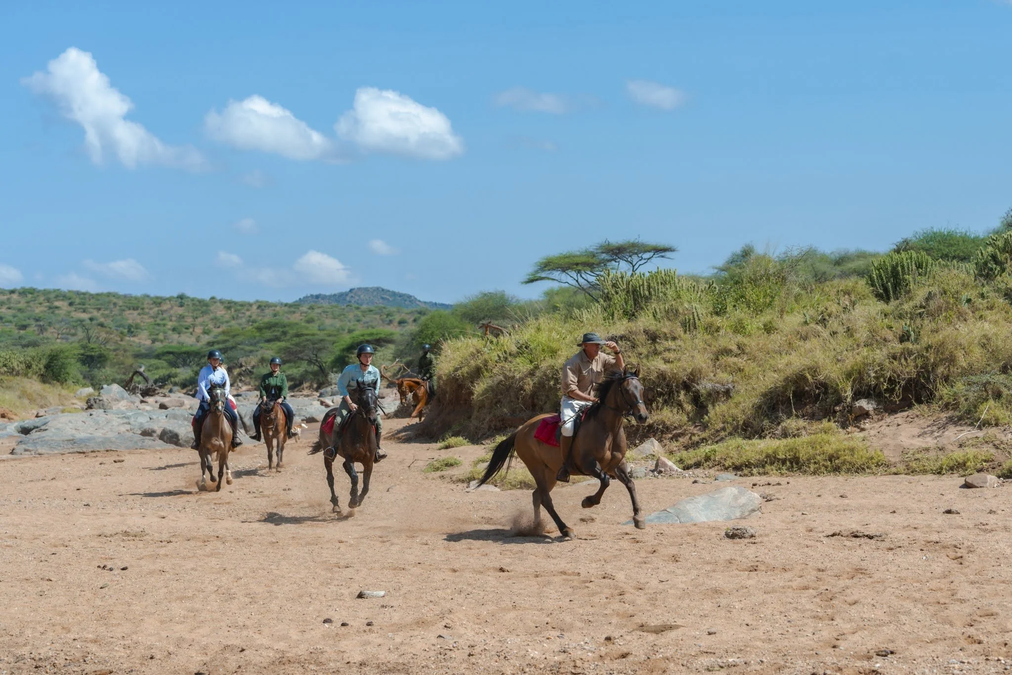 horse-safari-adventure