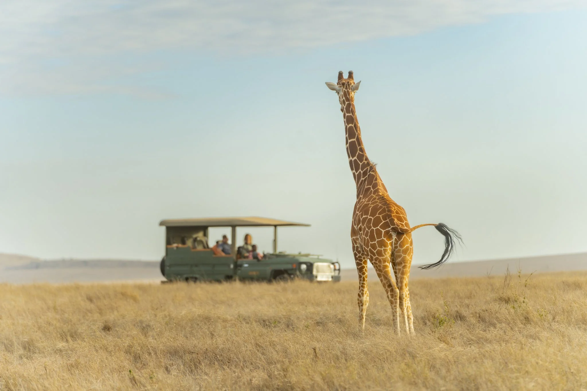 Game Drive-7-4.jpg