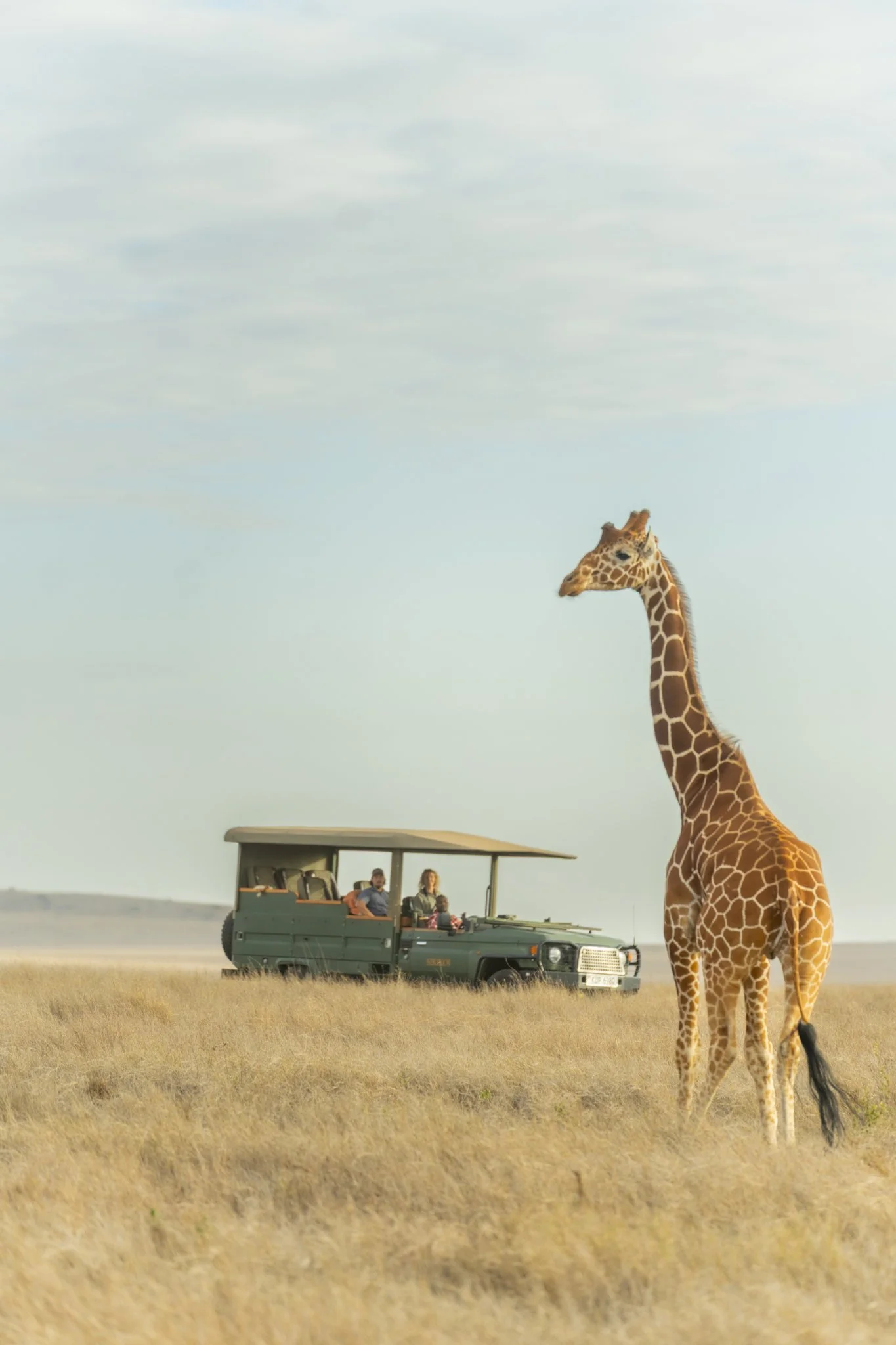 A giraffe standing in a grassy plain with a safari vehicle and people inside, under a cloudy sky.