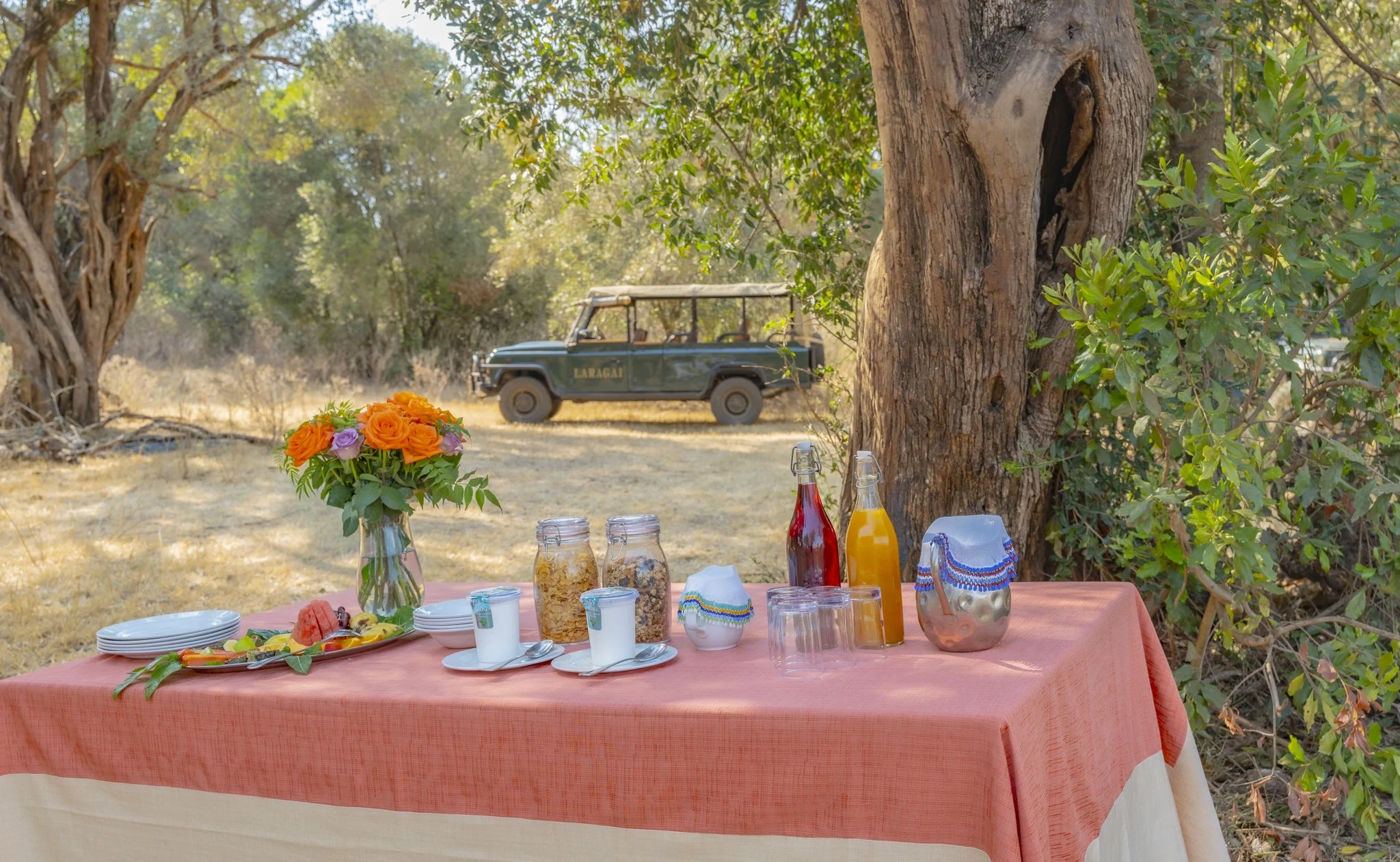 Bush breakfast ready with a safari vehicle in background