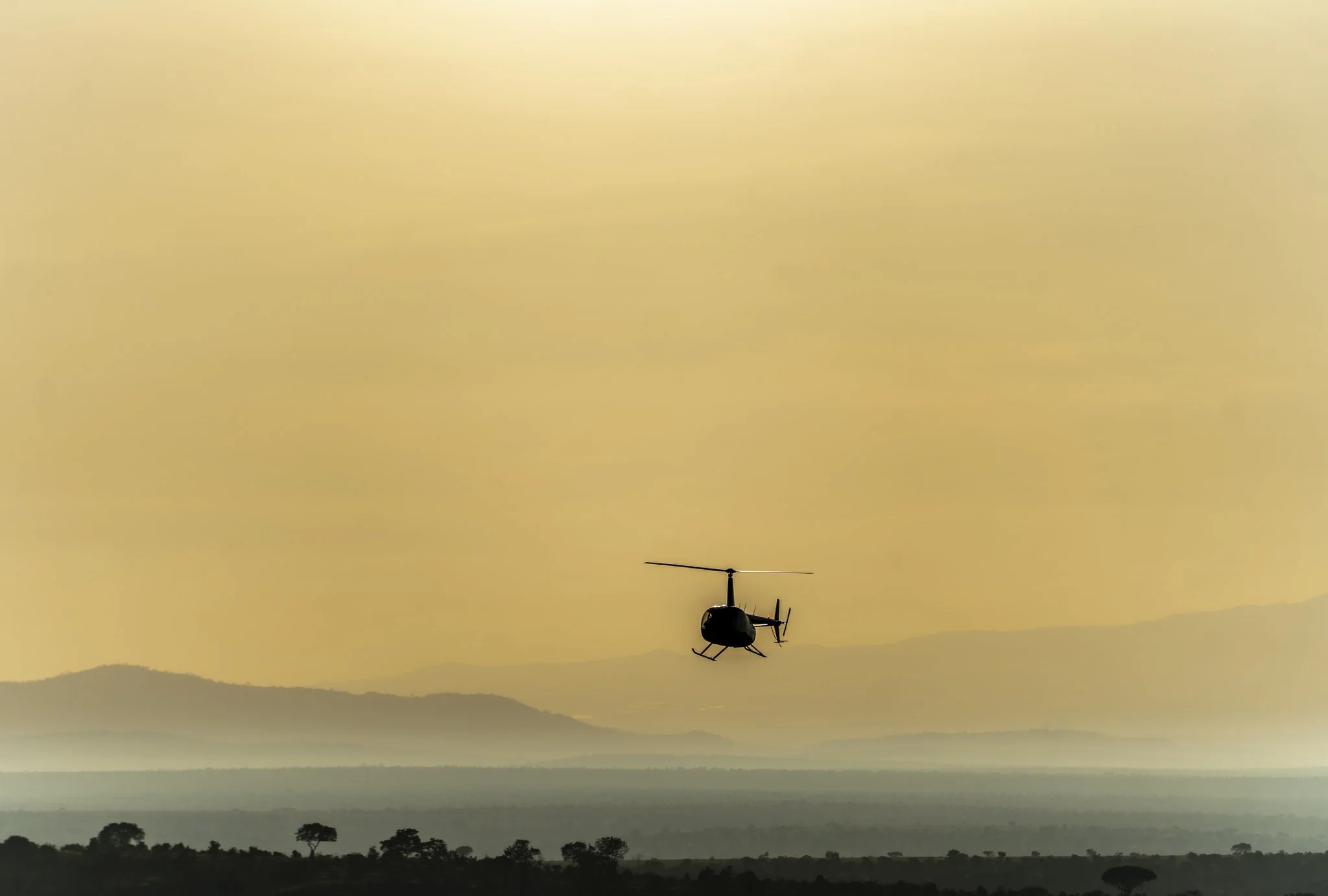 ELK Wild Heli & Walk-31.jpg