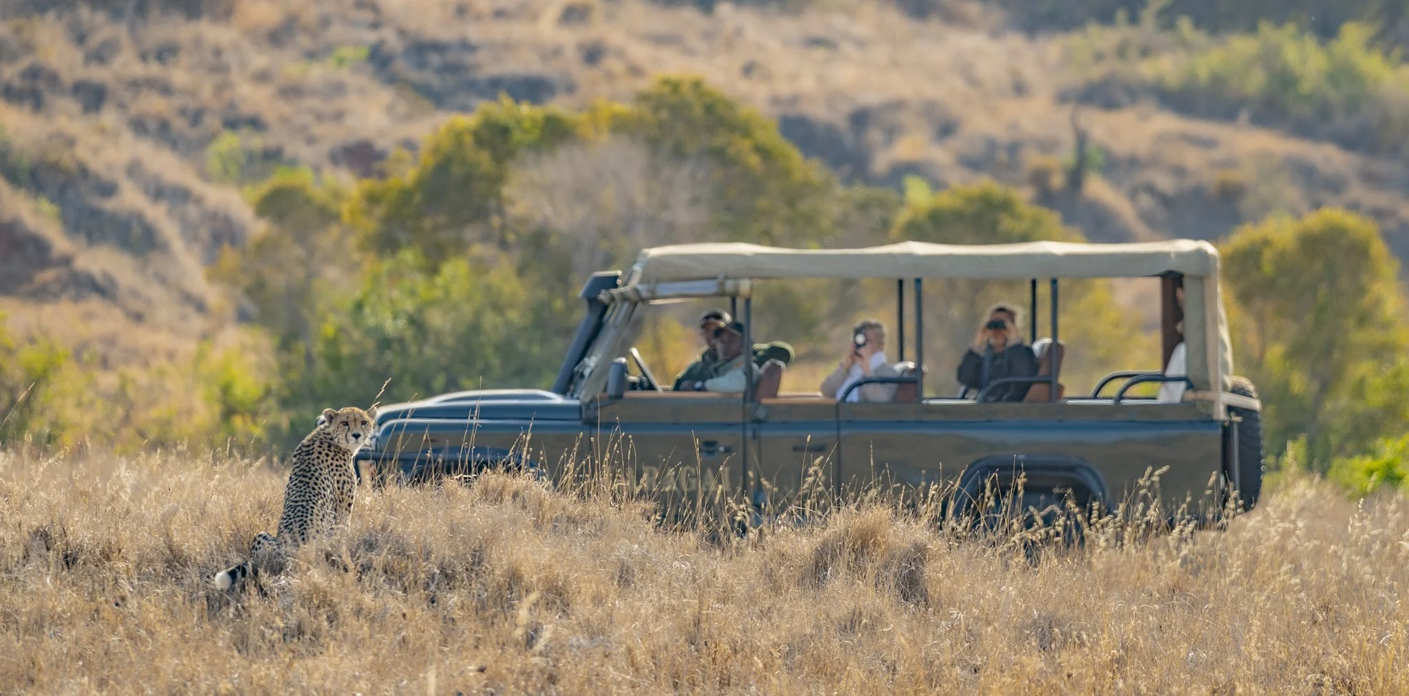 Laragai House Wildlife-53.jpg