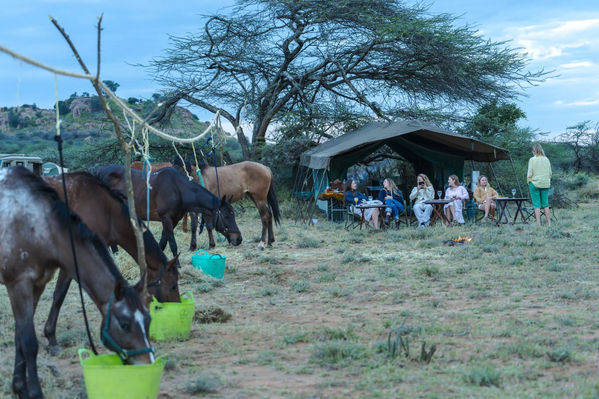 horse-safari-adventure