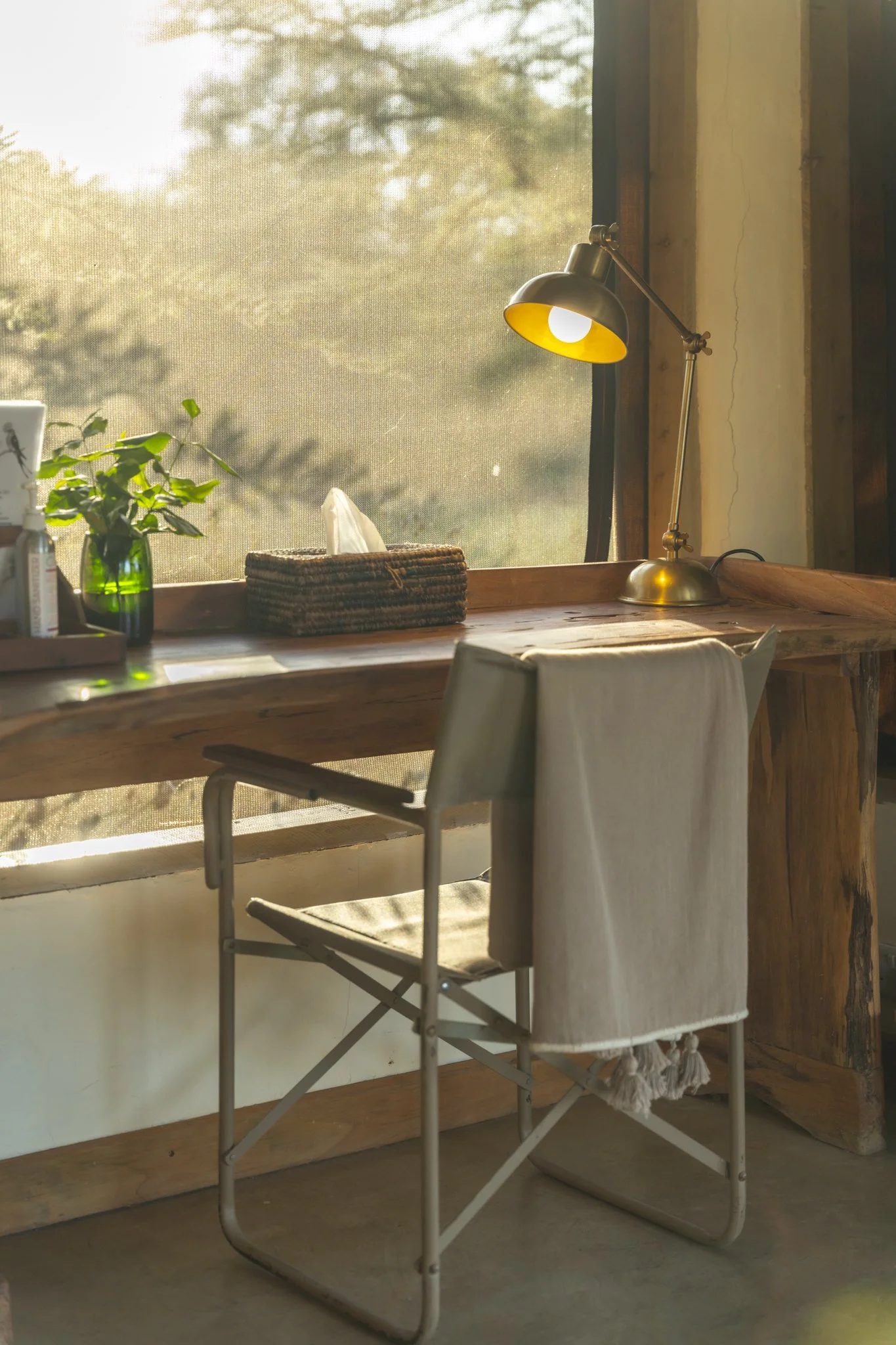 A wooden desk with a lamp, a tissue box, and a plant near a window with a screened background revealing trees and sunlight.