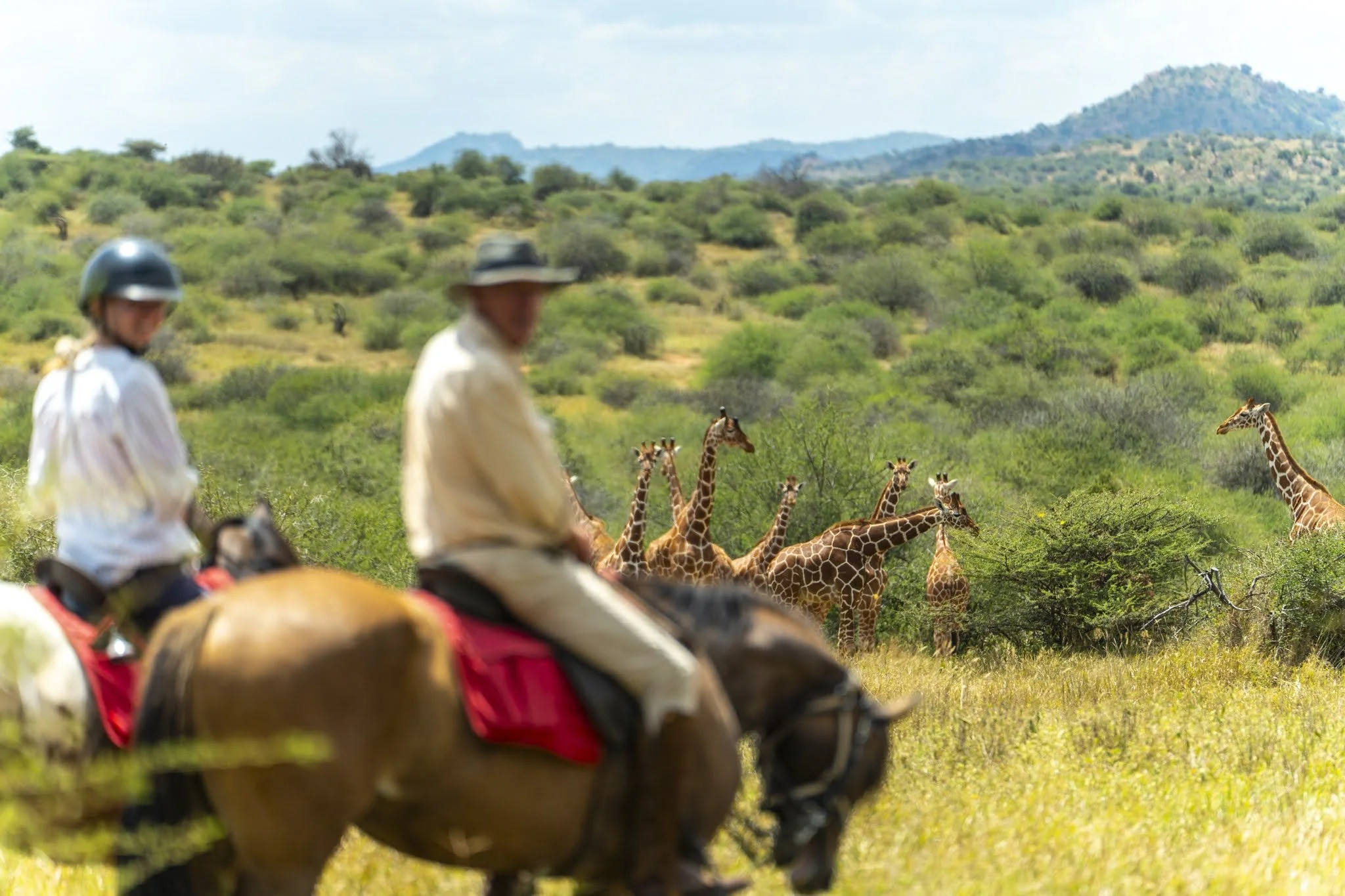 horse-safari-adventure