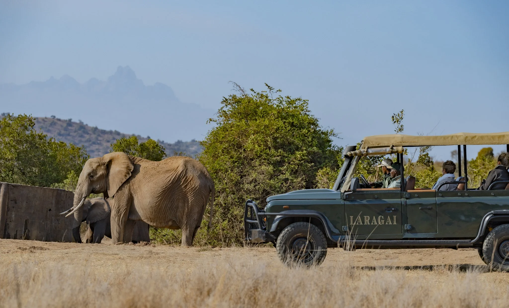 Elephant drinking at a tank at Borana Conservancy with guests enjoying a game drive.