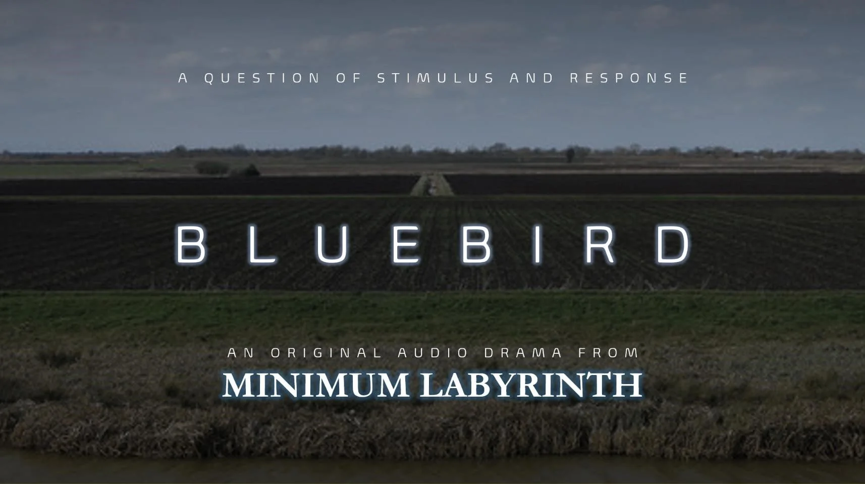 Title screen for Bluebird, an original audio drama from Minimum Labyrinth, displaying a rural fenland landscape with dark clouds.