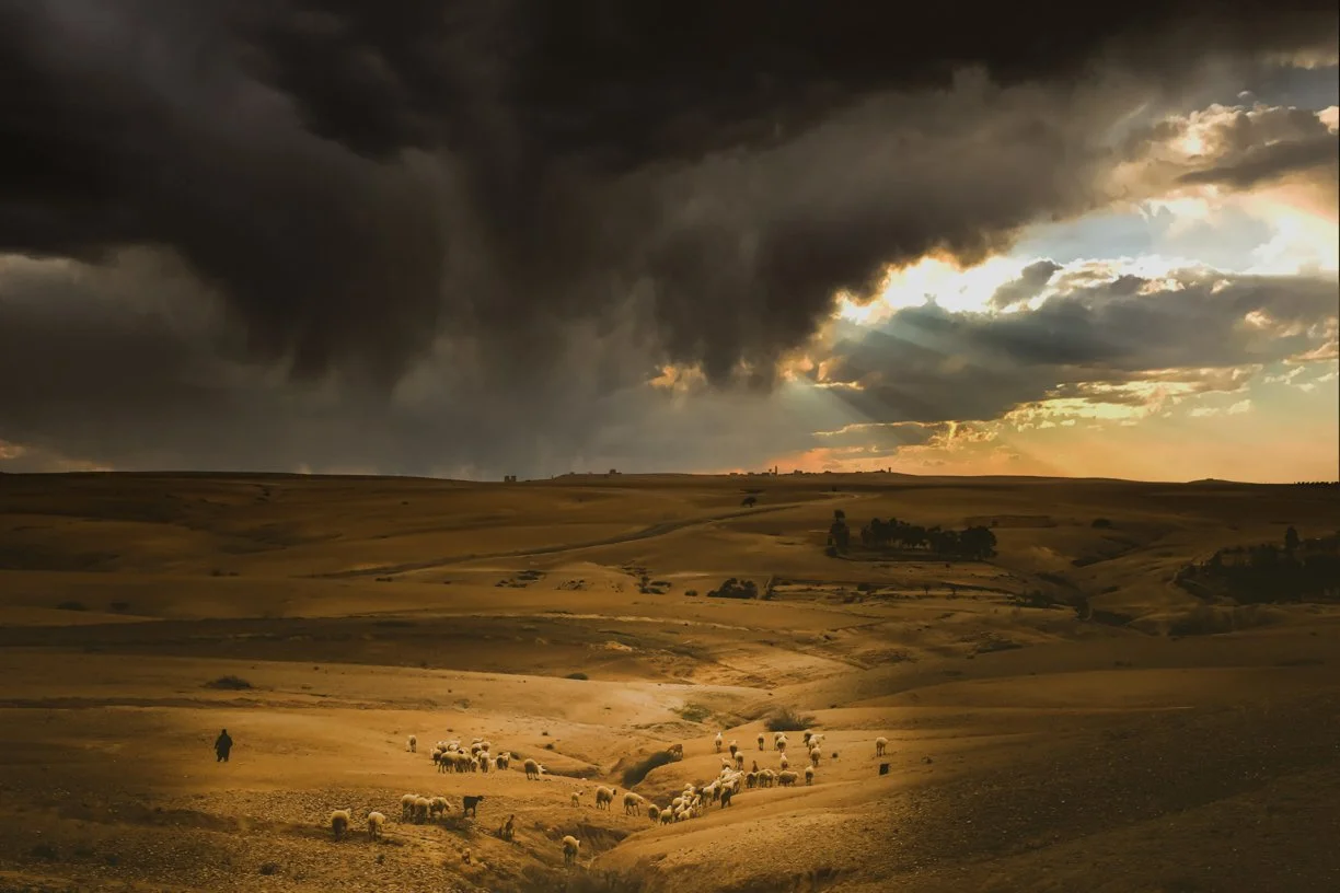 Beyond the Borders-BD-32.jpg