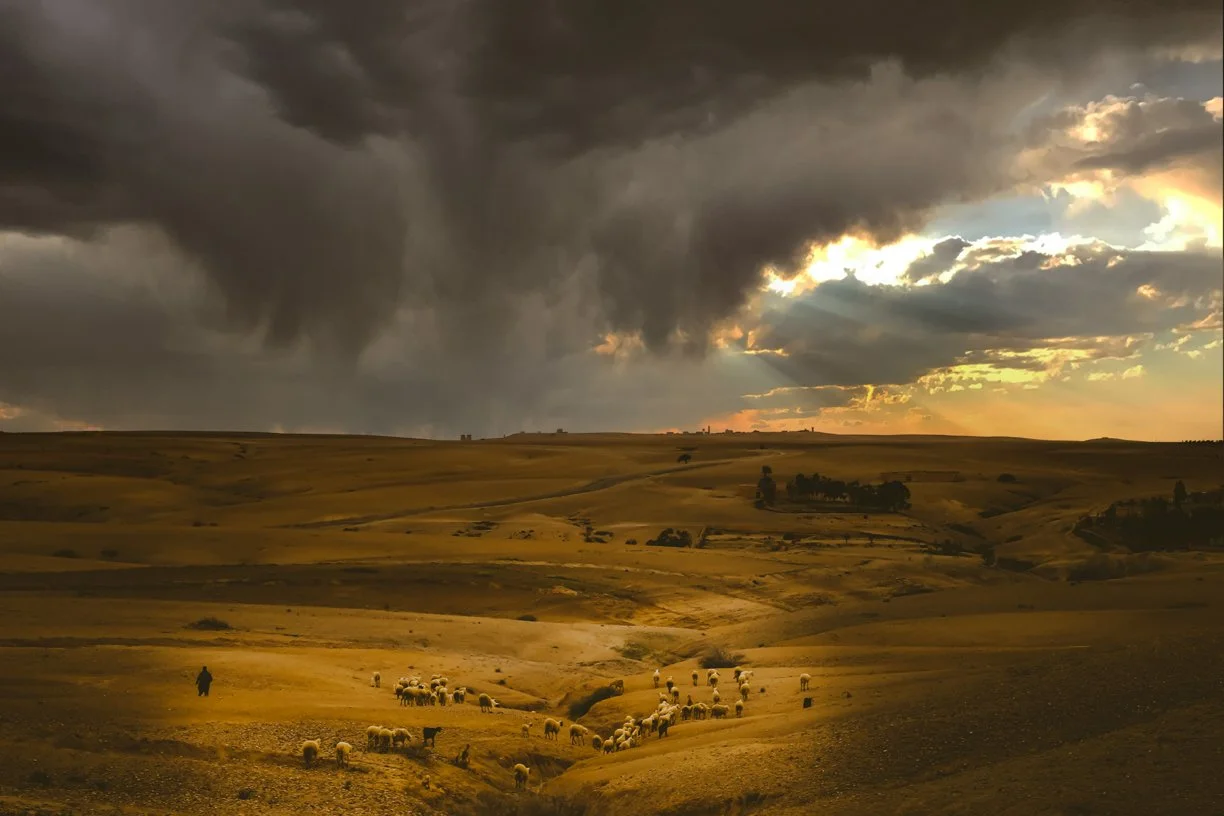 Beyond the Borders-BD-40.jpg