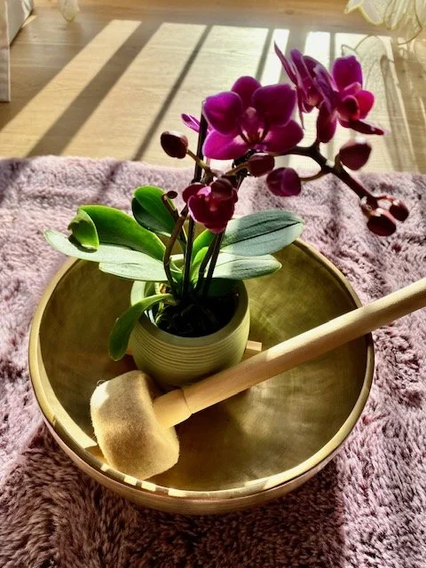 Eine Orchidee in einer kleinen Vase, auf einem goldenen Teller, auf einem weichen, rosa Stoff, mit einem Massagehut und einem Holzhammer im Vordergrund.