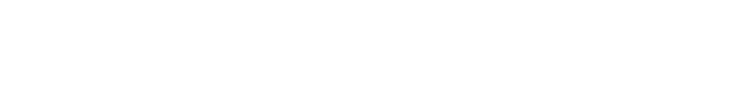 The House On Dolphin Street logo