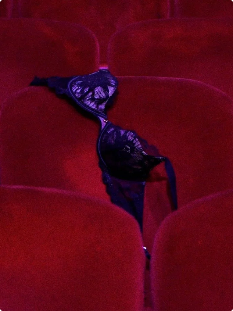 SYRN Bra on Seats