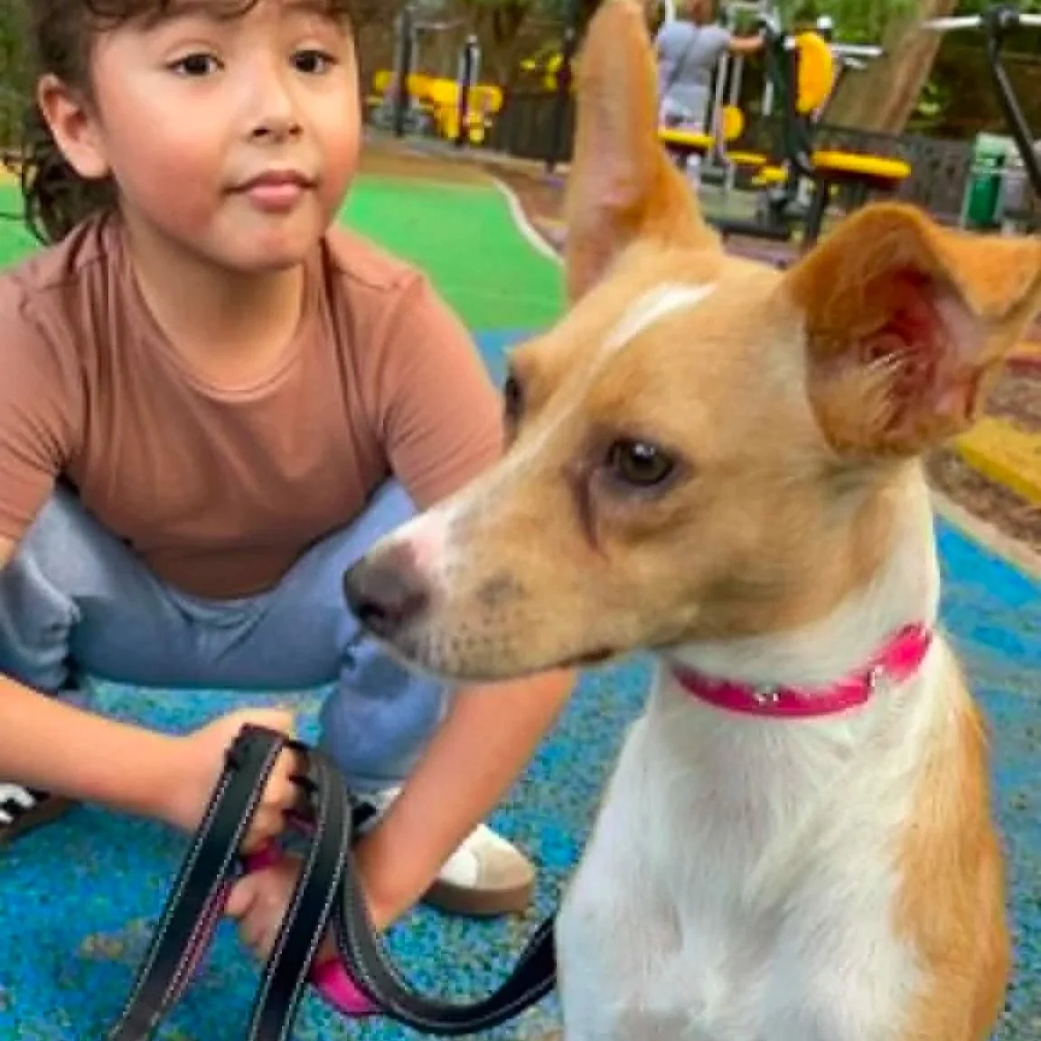 Maya — Female | 1 Year Old | 9 kg | Small/Medium Mixed Breed | Located in Mexico

Maya was rescued along with her puppies after they were found living in appalling conditions. Thankfully, the little family was brought to safety together, and now that