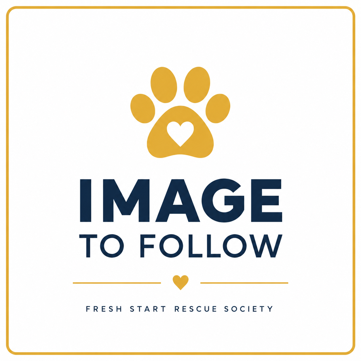 AMY — Approx. 8 Years | Female | Located in Mexico | Mixed Poodle | Currently Receiving Medical Care

Some dogs just get to me.

Amy is one of them.

She's tiny, she's about eight years old, and right now she's not well. She has tested positive for a