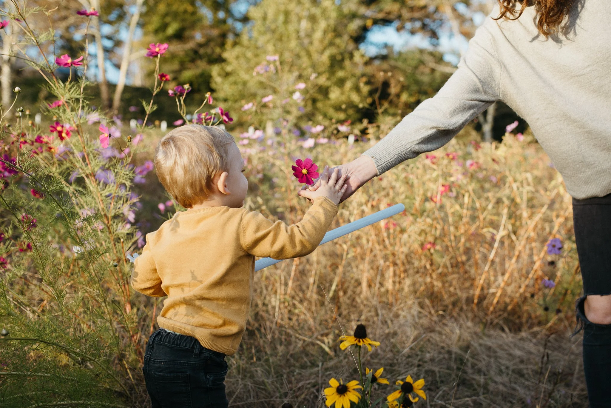 A young boy with blond hair and a mustard-colored hoodie reaching out to touch a pink flower held by an adult in a garden with blooming flowers and trees in the background.