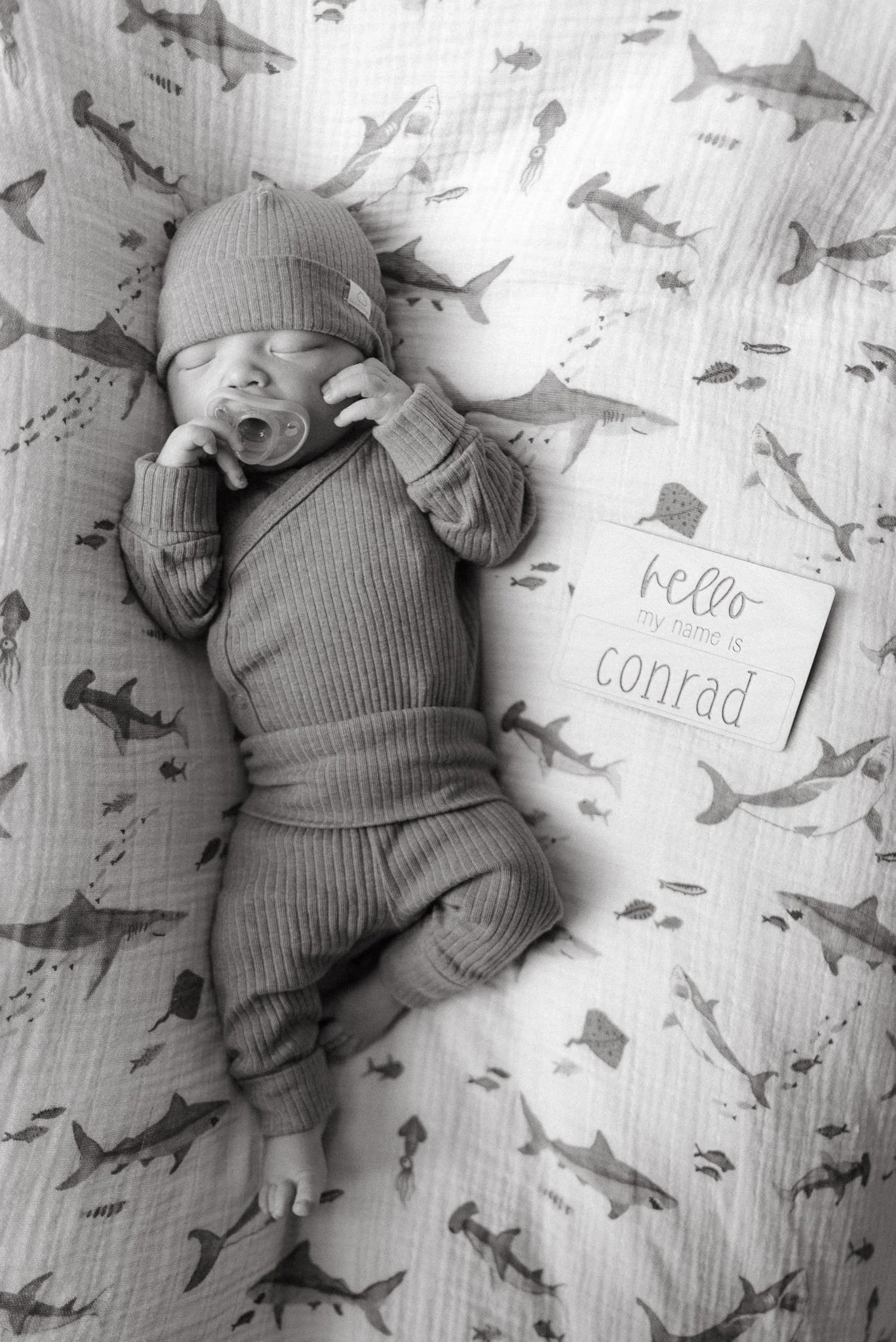 A sleeping baby wearing a knit beanie and a long-sleeved shirt, holding a pacifier in their mouth, lying on a shark-themed blanket with a name tag that reads "hello my name is conrad".