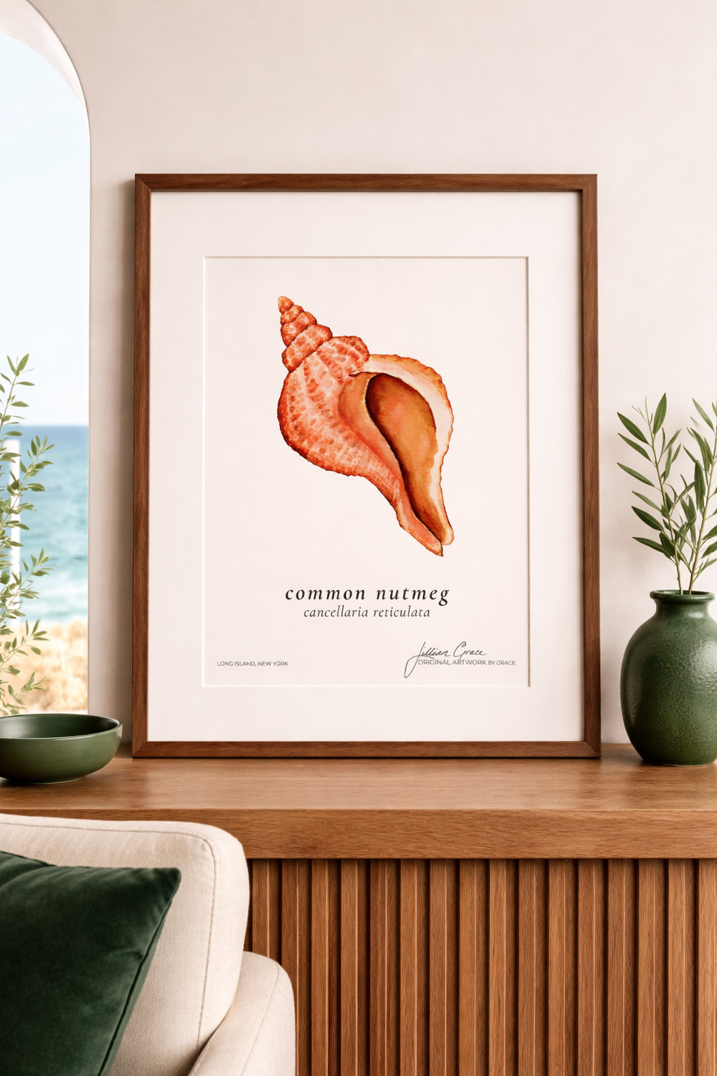 Nutmeg Seashell Original Watercolor Art Print Matte Poster