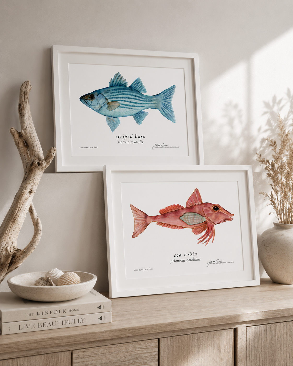Collection of original coastal and wildlife artwork by Jillian Grace Studio featuring animals, marine life, and natural elements inspired by Long Island and the Northeast. striped bass illustration white frame. northern red sea robin in white frame